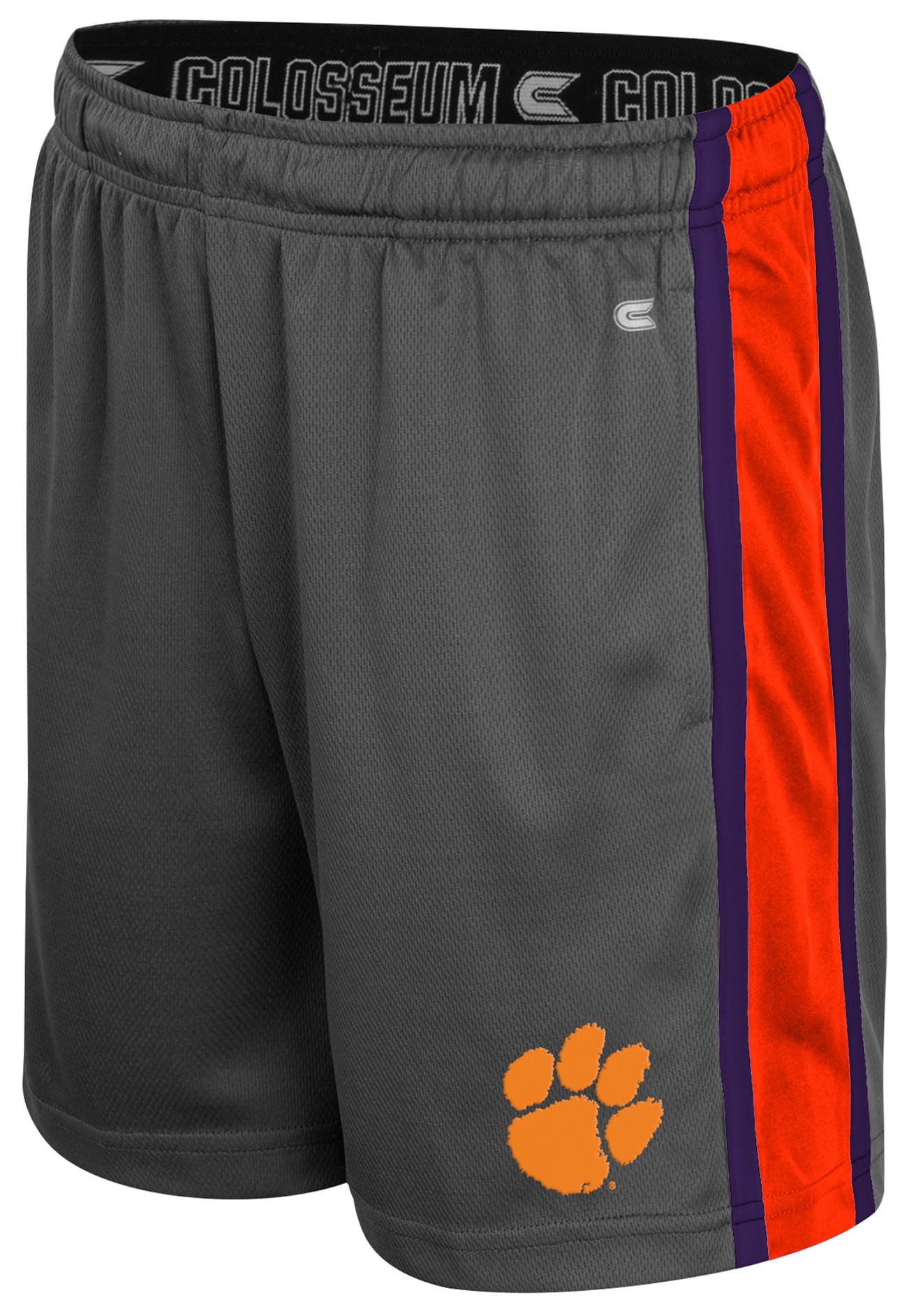Colosseum Youth Clemson Tigers Charcoal Ripple Shorts product image