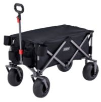 DBX Beach Wagon with Sand Wheels
