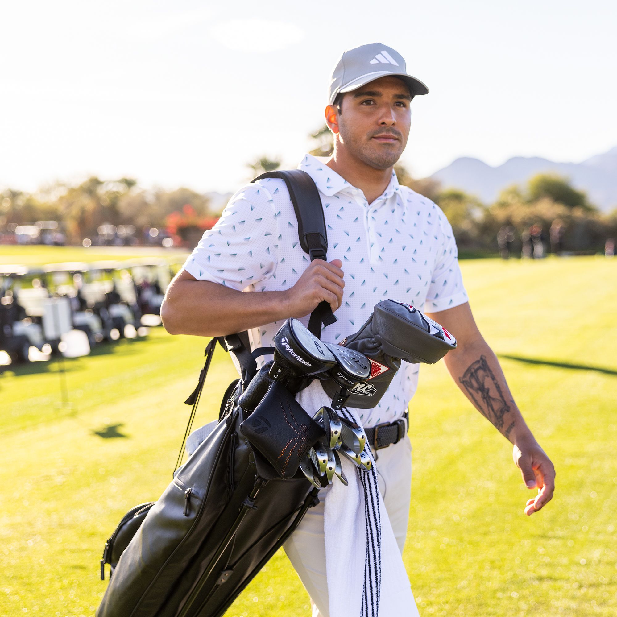 TaylorMade 2024 Flextech Premium Carry Bag product image