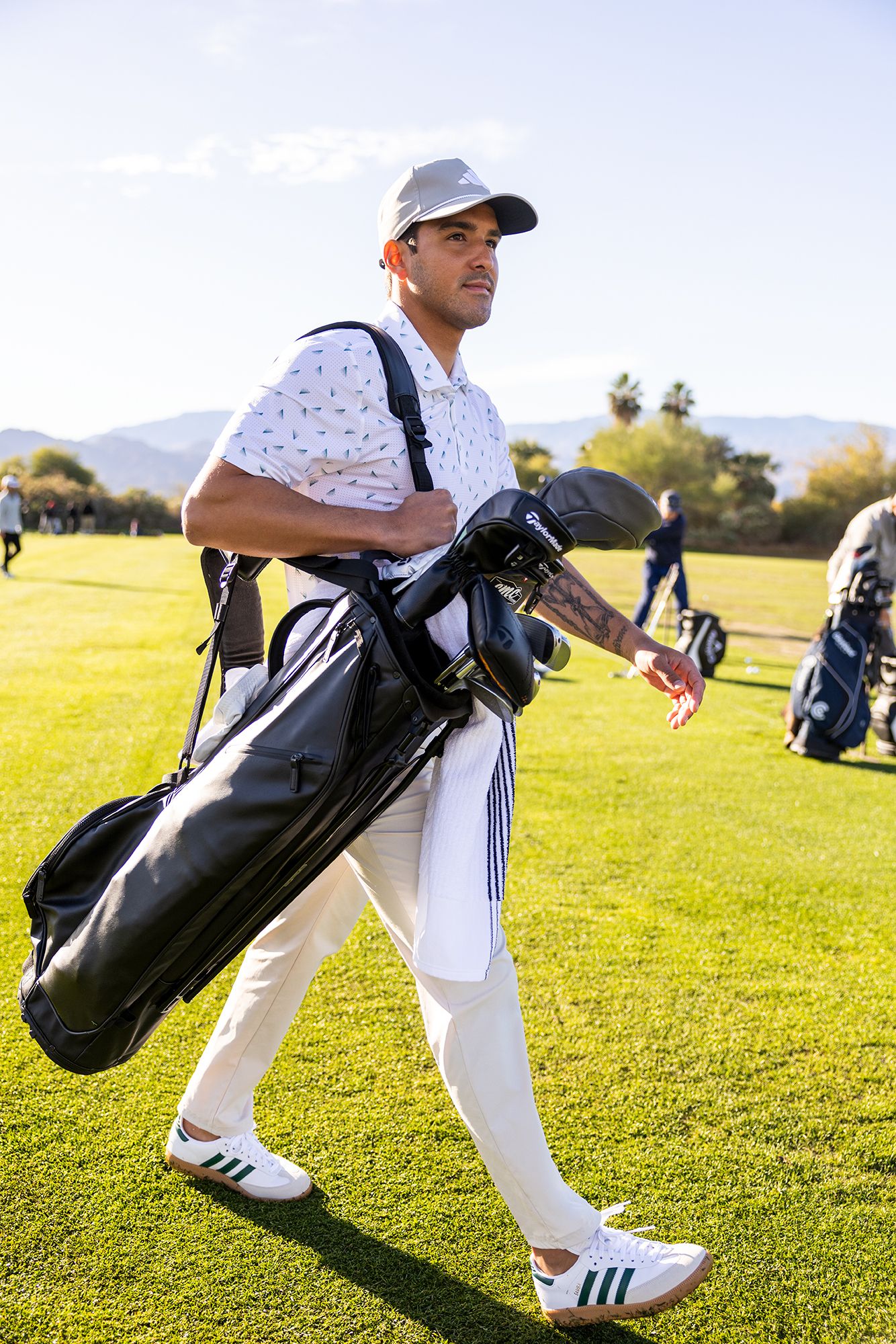 TaylorMade 2024 Flextech Premium Carry Bag product image