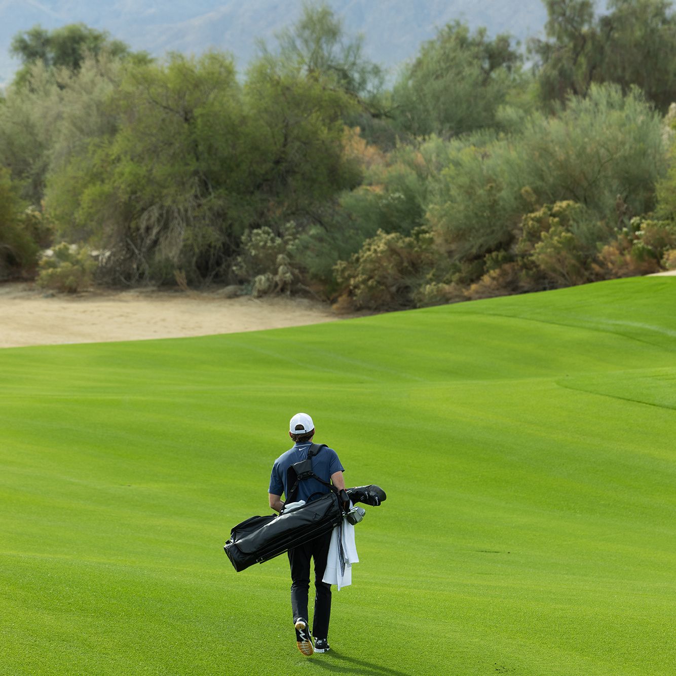 TaylorMade 2024 Flextech Premium Carry Bag product image