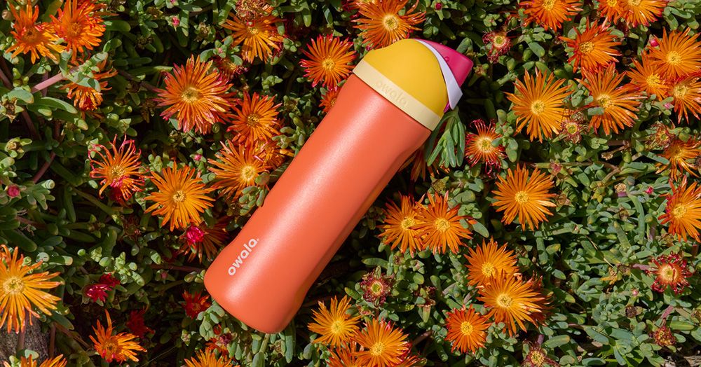 Owala 24 oz. FreeSip Stainless Steel Water Bottle product image