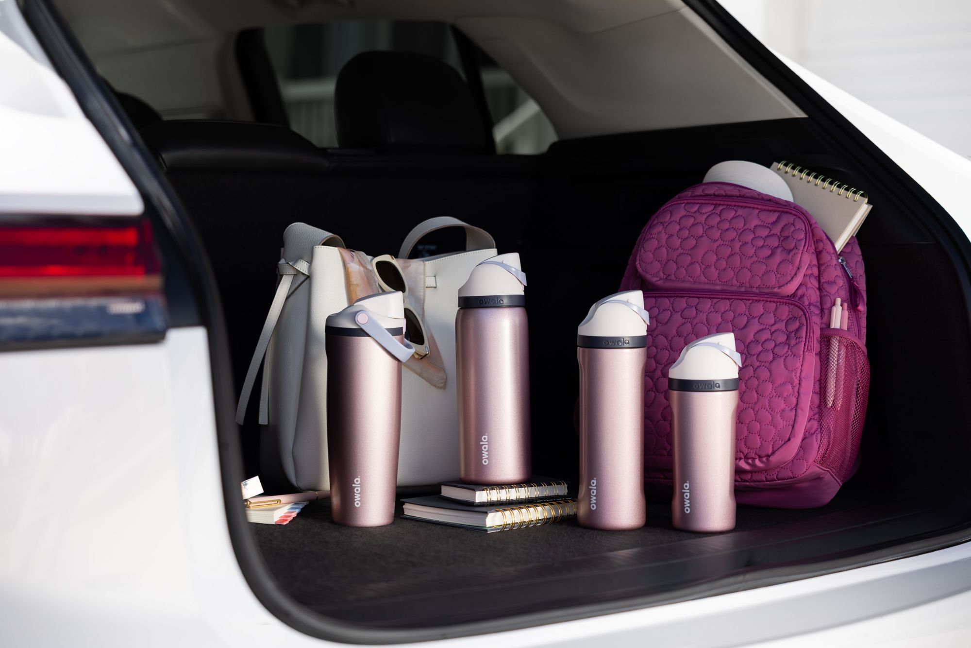 Owala 24 oz. FreeSip Stainless Steel Water Bottle product image