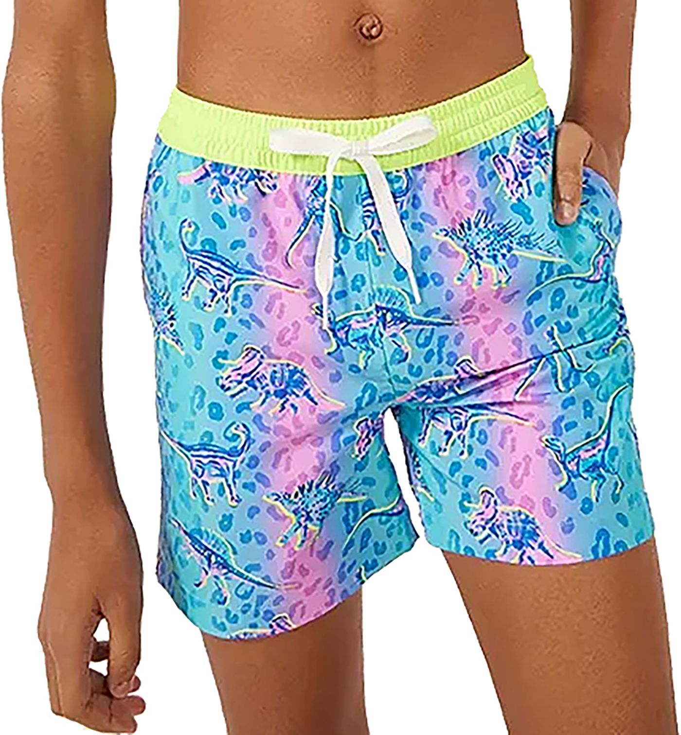 Chubbies dinosaur swim trunks online