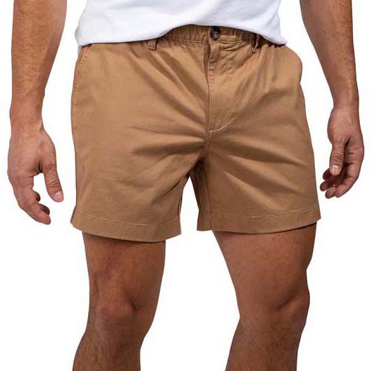 Chubbies Men's Original Stretch Shorts product image