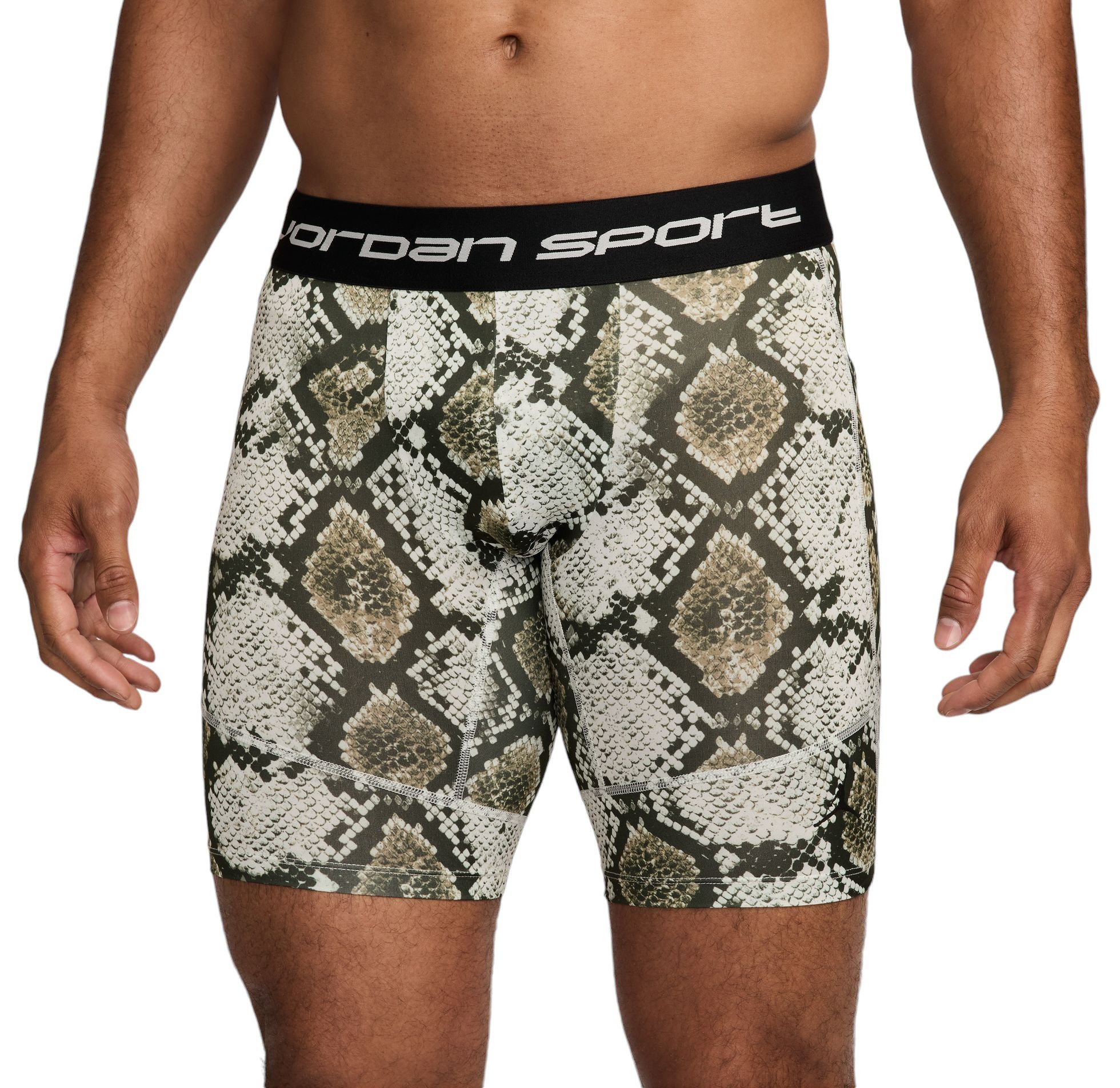 Jordan Men's Dri-FIT Sport Shorts product image