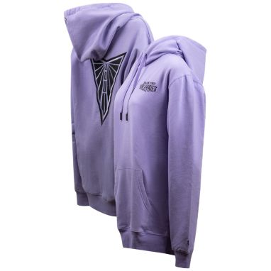 sorry, FISLL Adult Golden State Valkyries Fleece Pullover Hoodie is currently out of stock