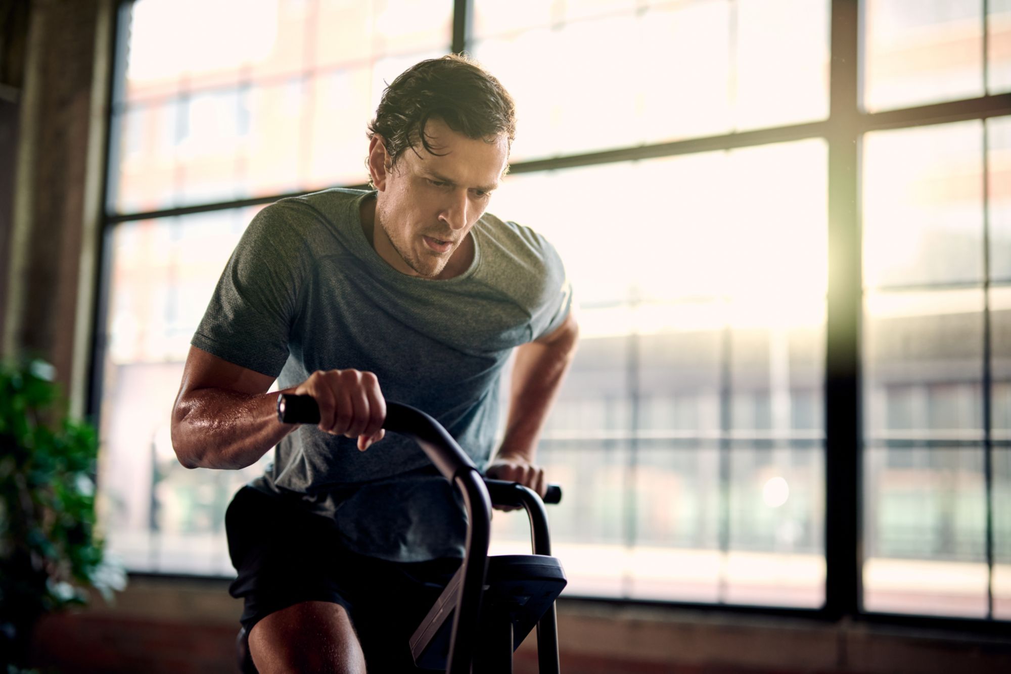 ETHOS Air Bike product image