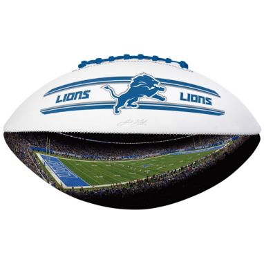 sorry, Logo Detroit Lions Stadium Football is currently out of stock