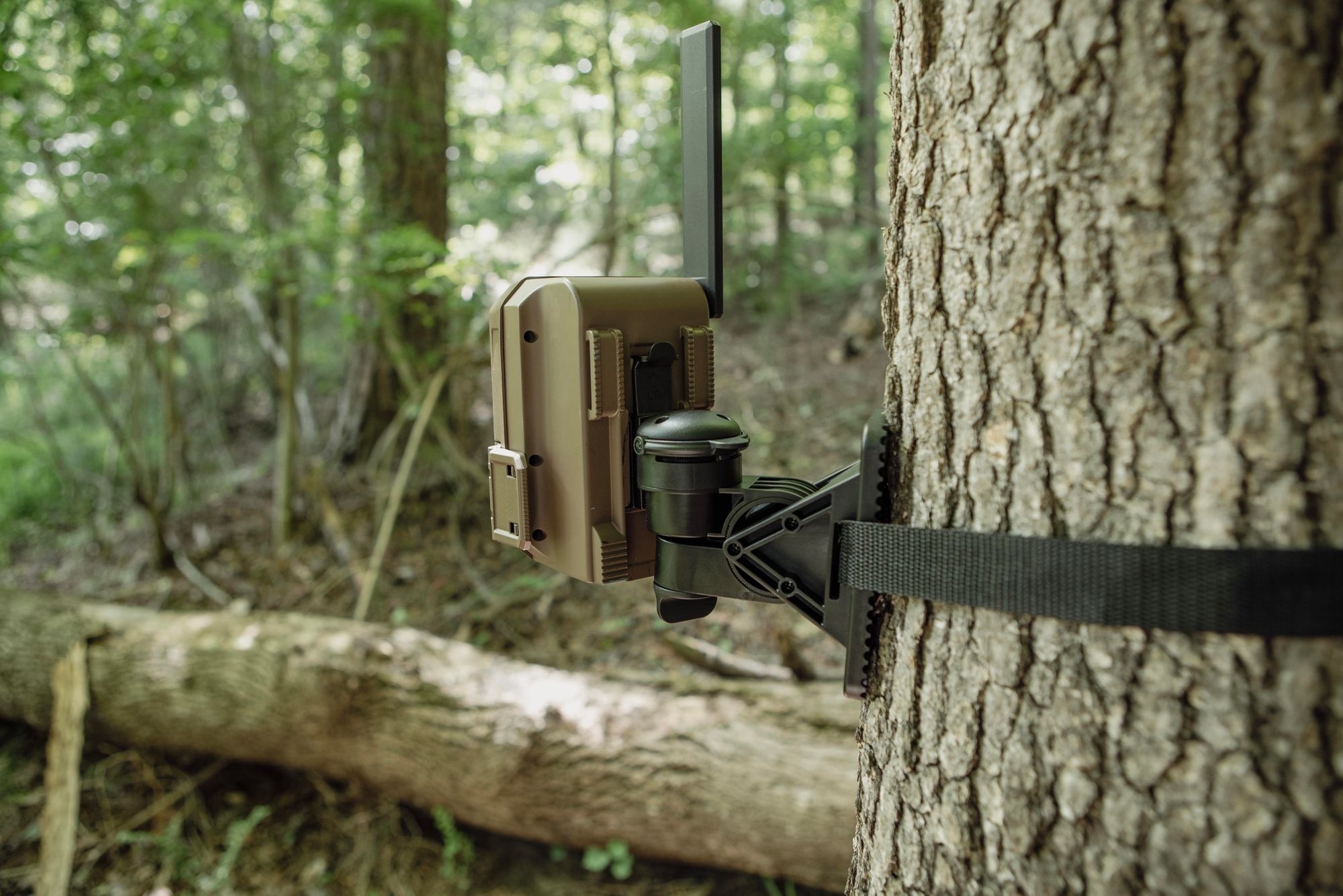 Moultrie Edge Series Flex Camera Mount product image