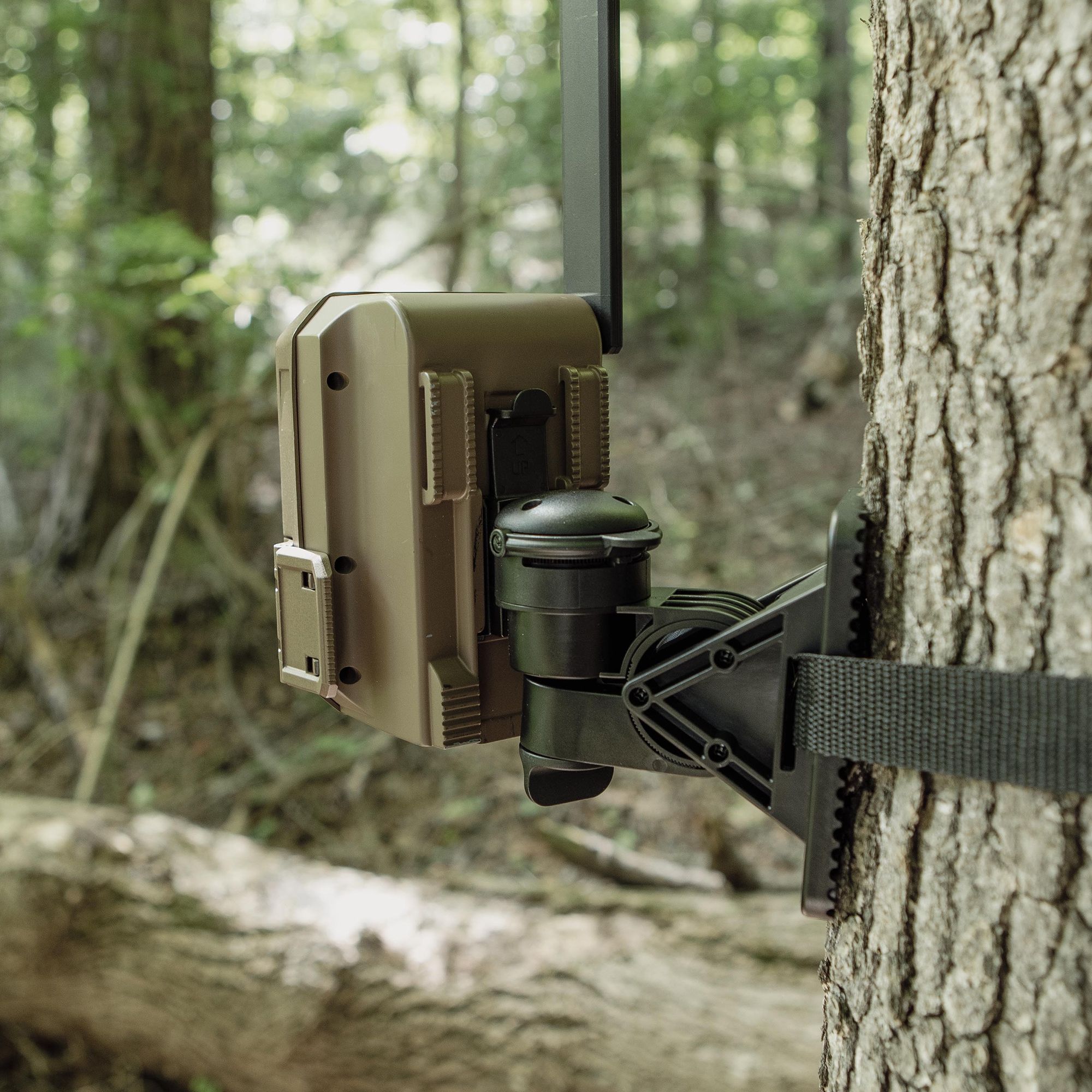 Moultrie Edge Series Flex Camera Mount product image