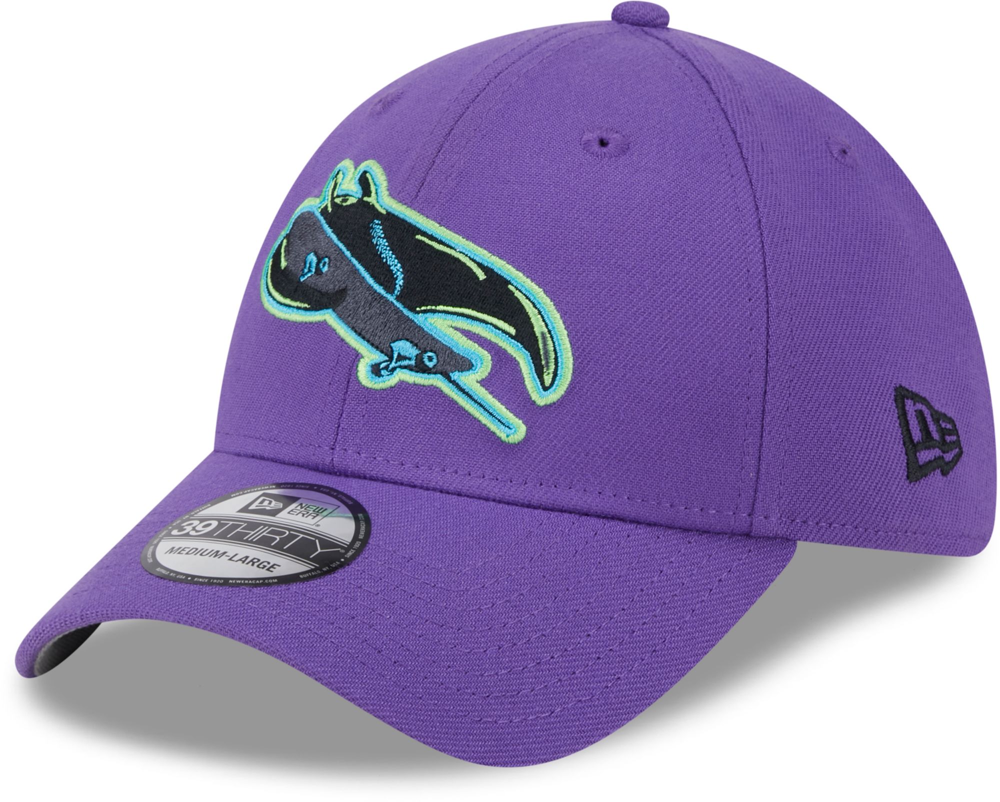 New Era Adult Tampa Bay Rays Alternate City Connect 39Thirty Flex Fit Hat product image