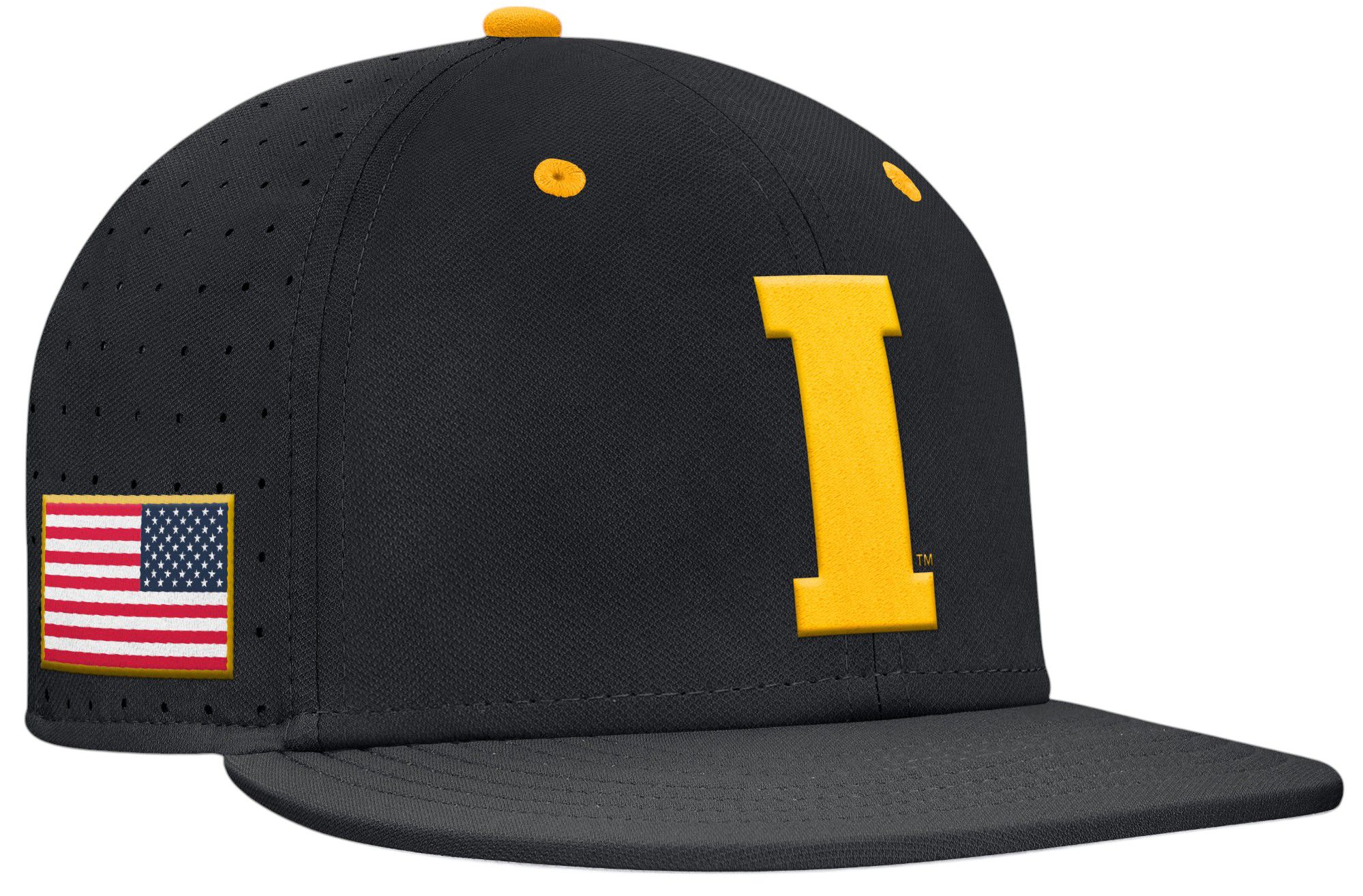Nike Adult Iowa Hawkeyes Black Aero Fitted Hat product image