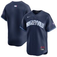 Nike Men s Chicago Cubs 2024 City Connect Blank Cool Base Jersey Dick s Sporting Goods