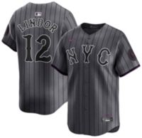 Nike Adult New York Mets 2025 City Connect Grey Francisco