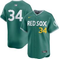 Nike Men's Boston Red Sox David Ortiz #34 2025 City Connect Green Limited Vapor Jersey