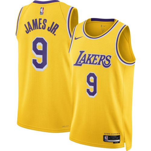 Jordan Adult Los Angeles Lakers LeBron James #23 Purple Swingman