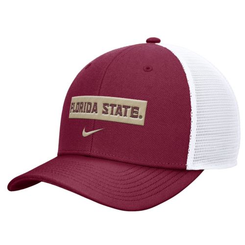 Nike Adult Florida State Seminoles Team Gold Rise Swooshflex