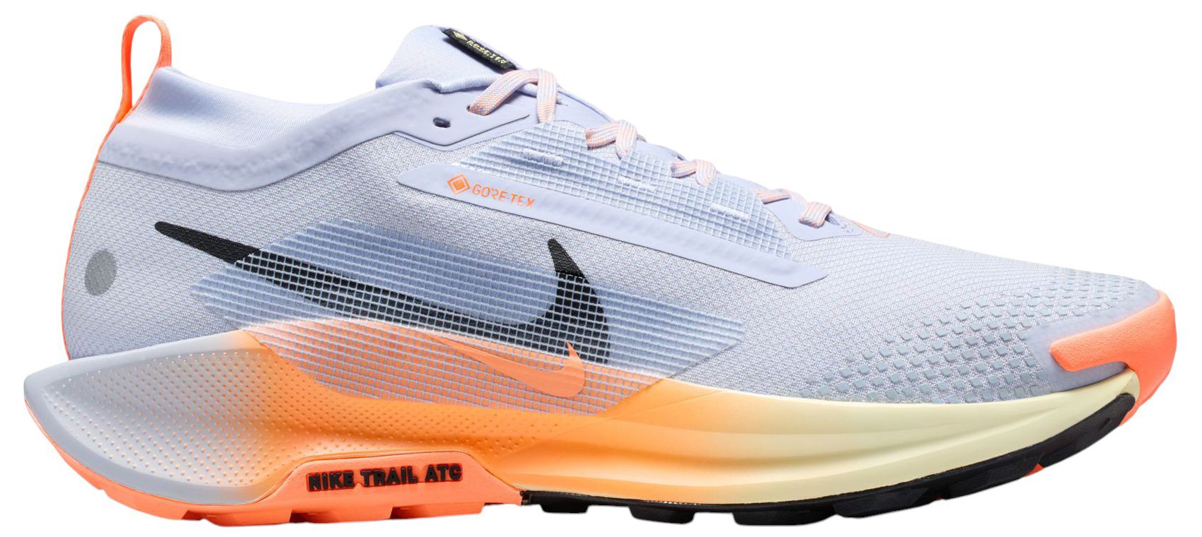 Nike Men's Pegasus Trail 5 GORE-TEX Running Shoes product image