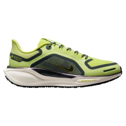 Nike Women's Pegasus 41 GORE-TEX Running Shoes