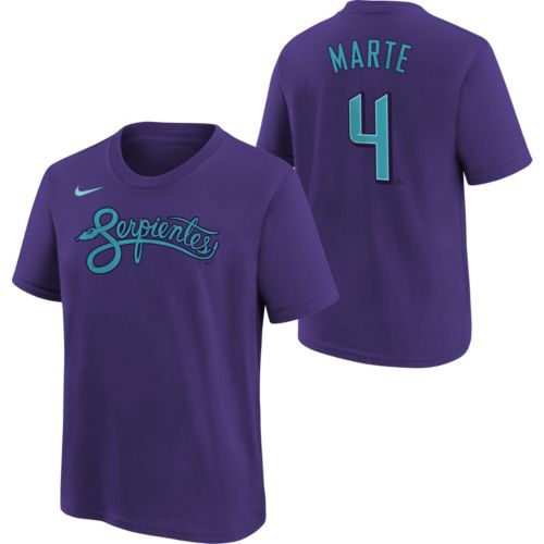 Nike Youth Arizona Diamondbacks Randy Johnson #51 City Connect