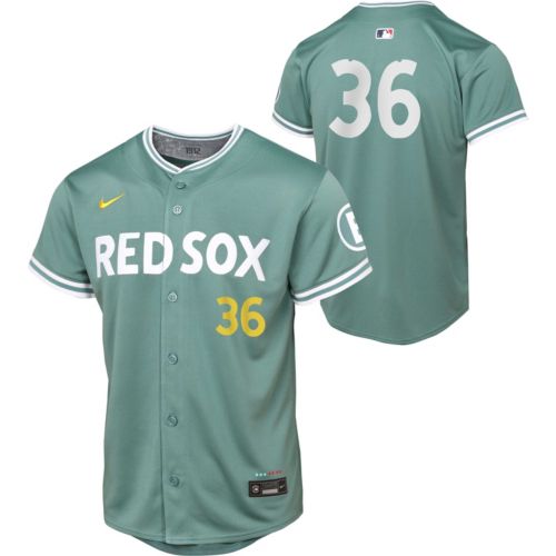 Nike Youth Boston Red Sox David Ortiz #34 City Connect Green