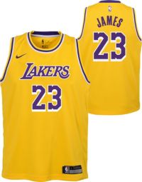 Nike Youth Los Angeles Lakers LeBron James 23 Icon Jersey Dick s Sporting Goods