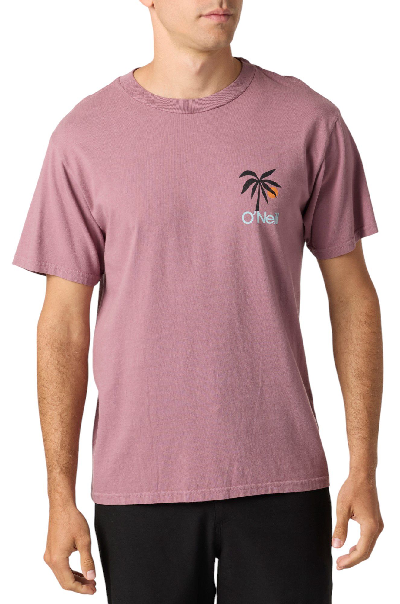 O'Neill Men's OG Dusk Short Sleeve Graphic T-Shirt product image