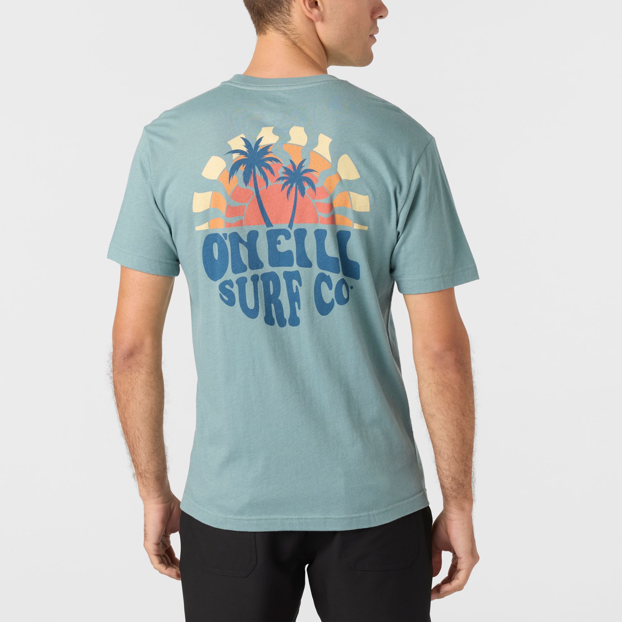 O'Neill Men's Shaved Ice Short Sleeve T-Shirt product image