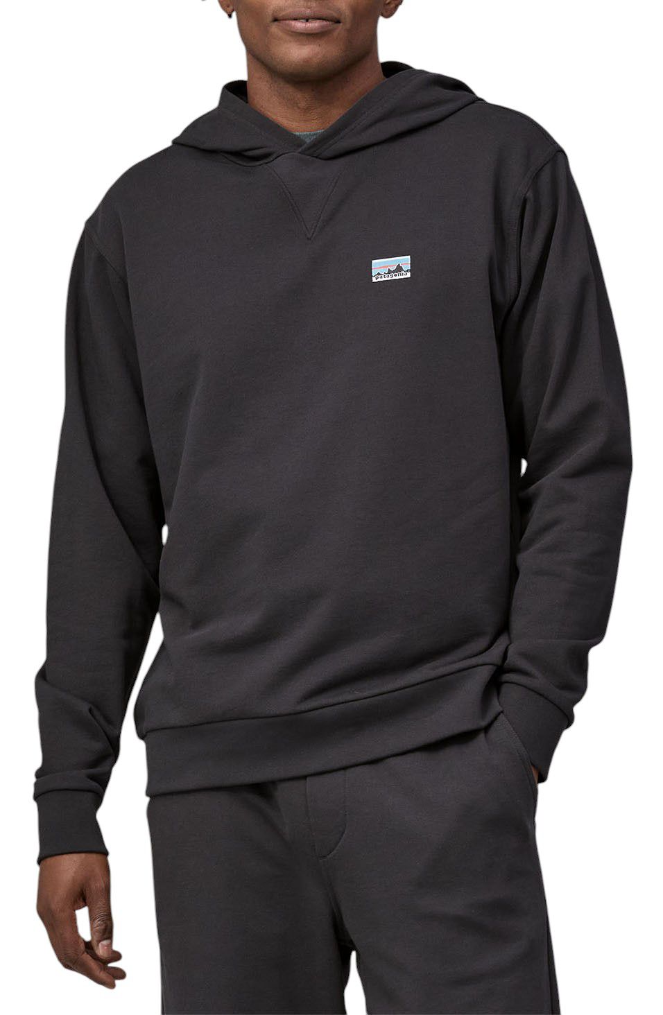 Patagonia Men's Daily Hoodie product image