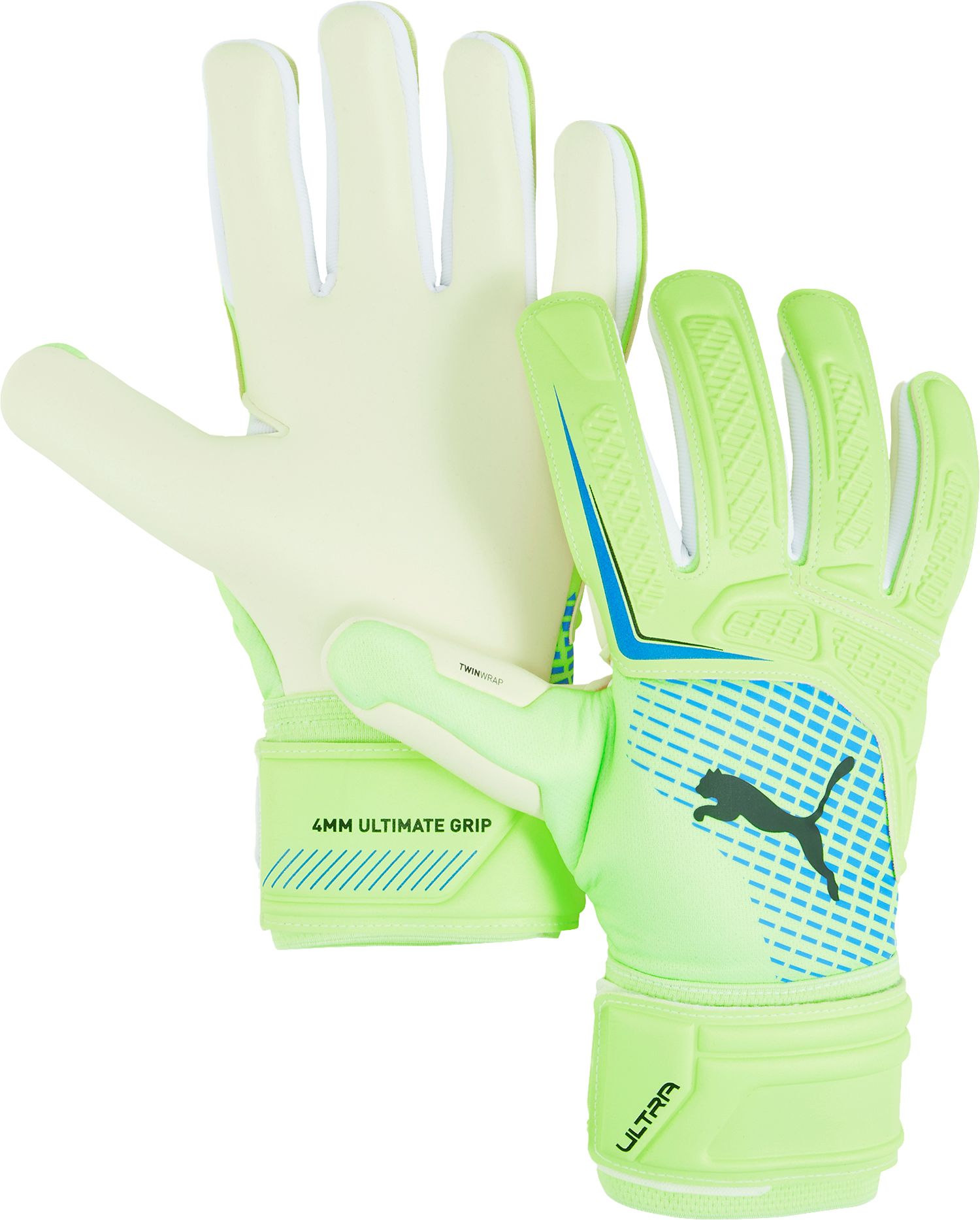 PUMA Adult FUTURE Protect Hybrid Goalkeeper Gloves product image