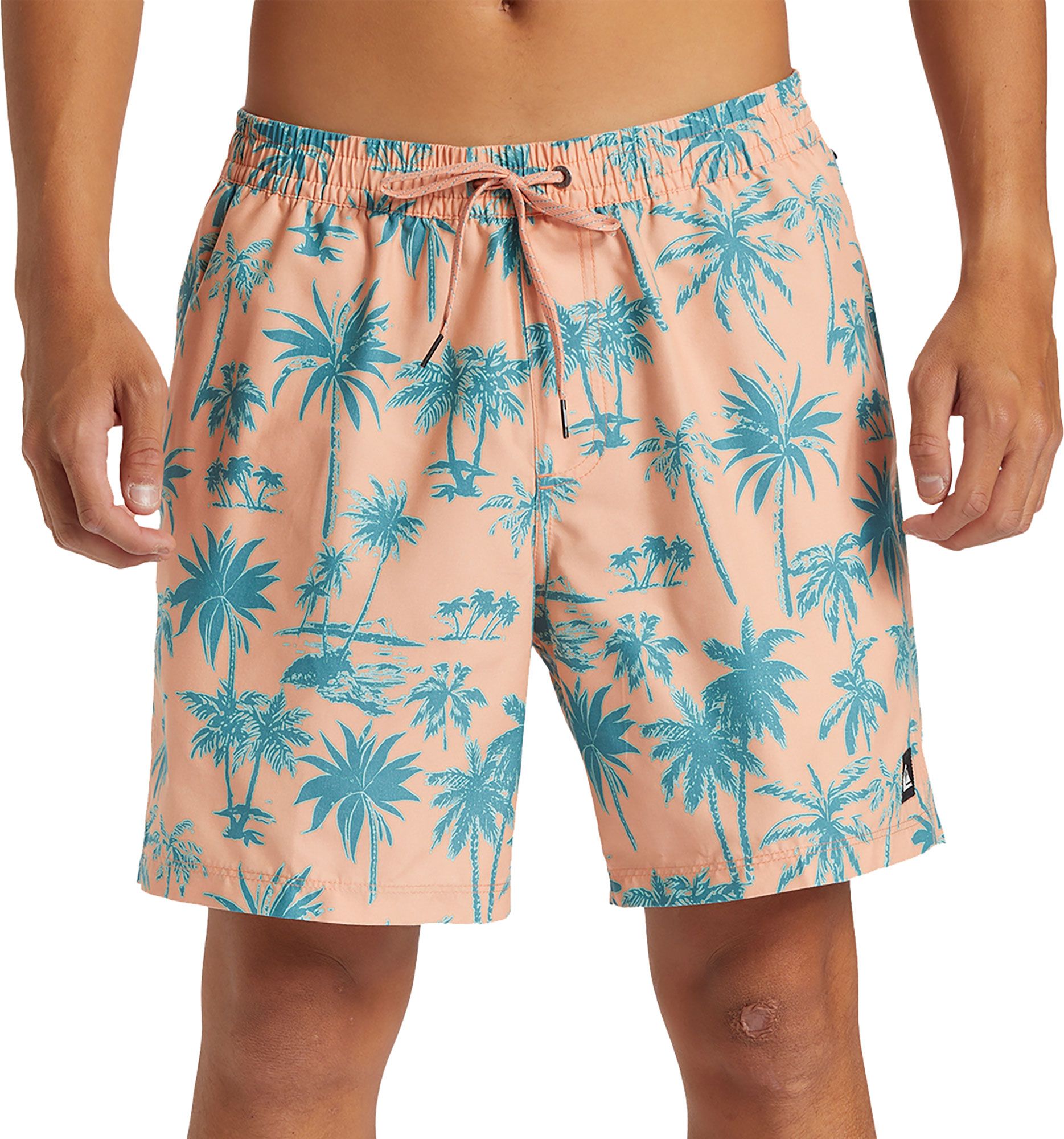 Quiksilver Men's Coastal Volley Swim Shorts product image