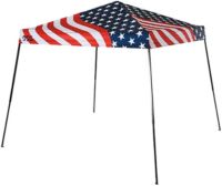 DSG 10' x 10' Slant Leg Canopy