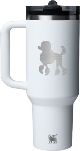 Stanley Custom 40 oz. Quencher ProTour Flip Straw Tumbler product image