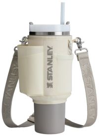 Stanley All Day 40 oz. Quencher Carry-All | Publiclands