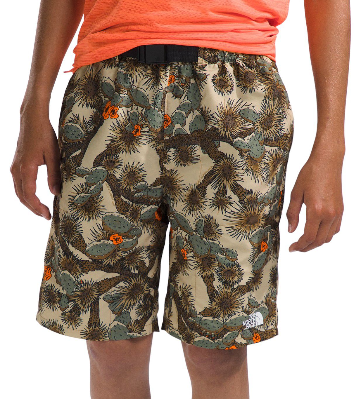 The North Face Boys' Amphibious Class V Belted Shorts product image