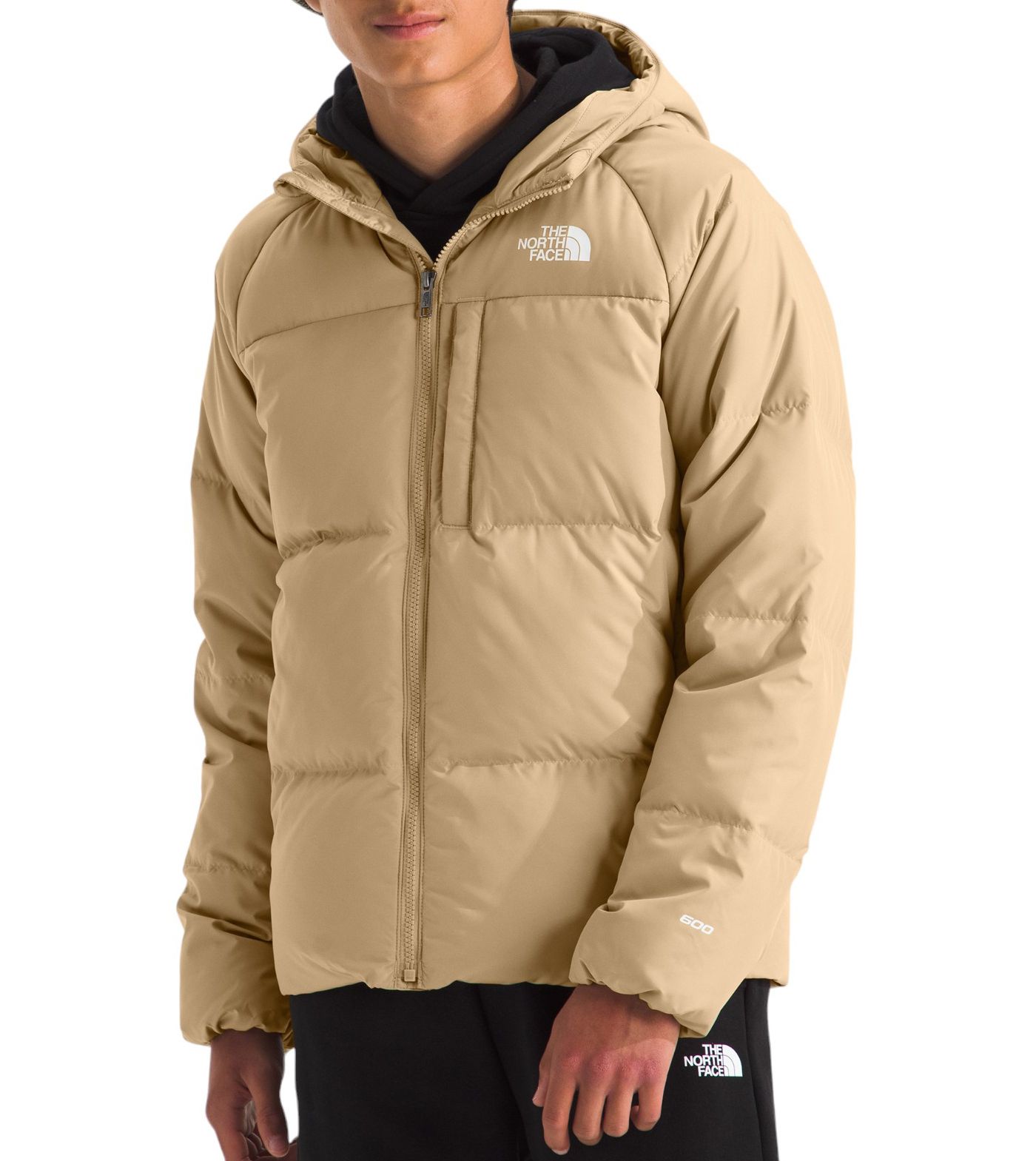 Boys north face parka online