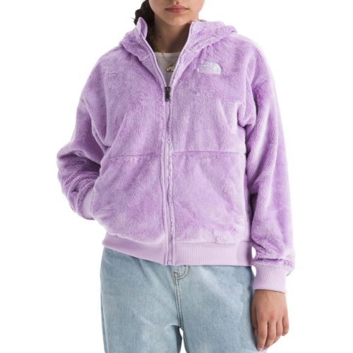 The North Face Little Kids' Glacier Full-Zip Fleece Hoodie