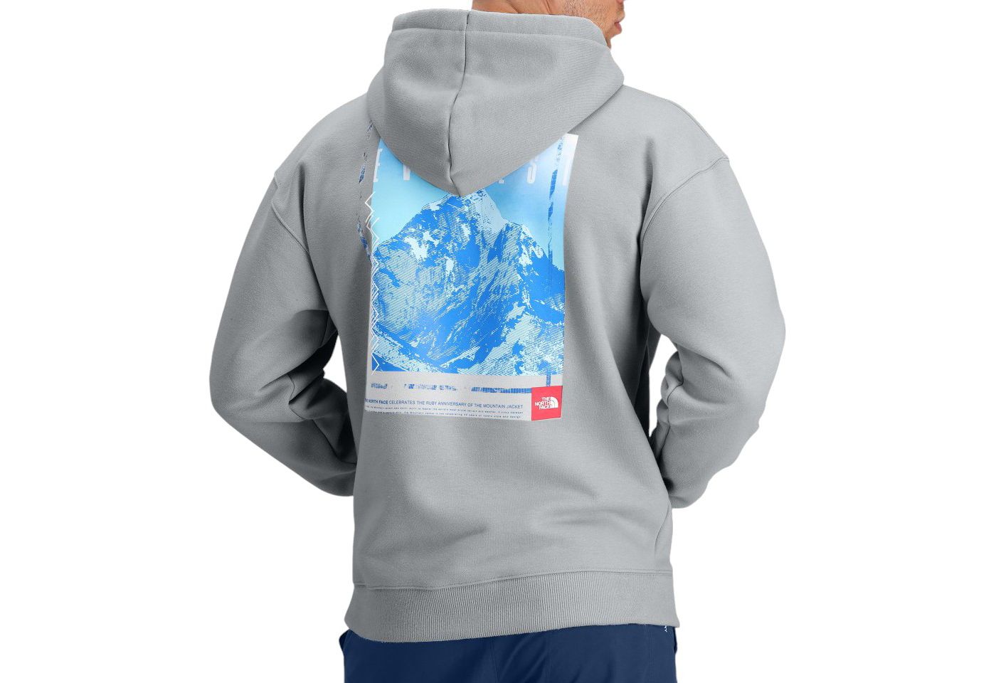 Red box hoodie the north face on sale