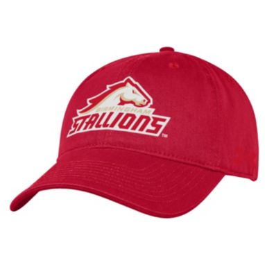 sorry, Under Armour Adult UFL Birmingham Stallions Red Unstructured Adjustable Hat is currently out of stock
