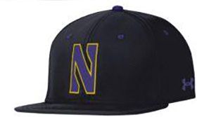 Under Armour Men's Northwestern Wildcats Black Fitted Baseball Hat product image