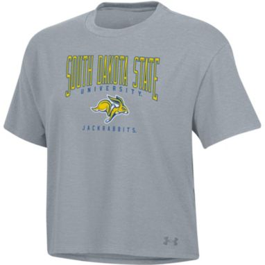 sorry, Under Armour Women's South Dakota State Jackrabbits Heather Grey All Day T-Shirt is currently out of stock