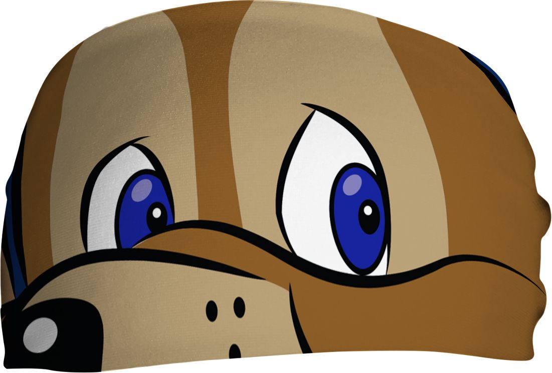 Vertical Athletics Chicago Cubs Mascot Headband product image