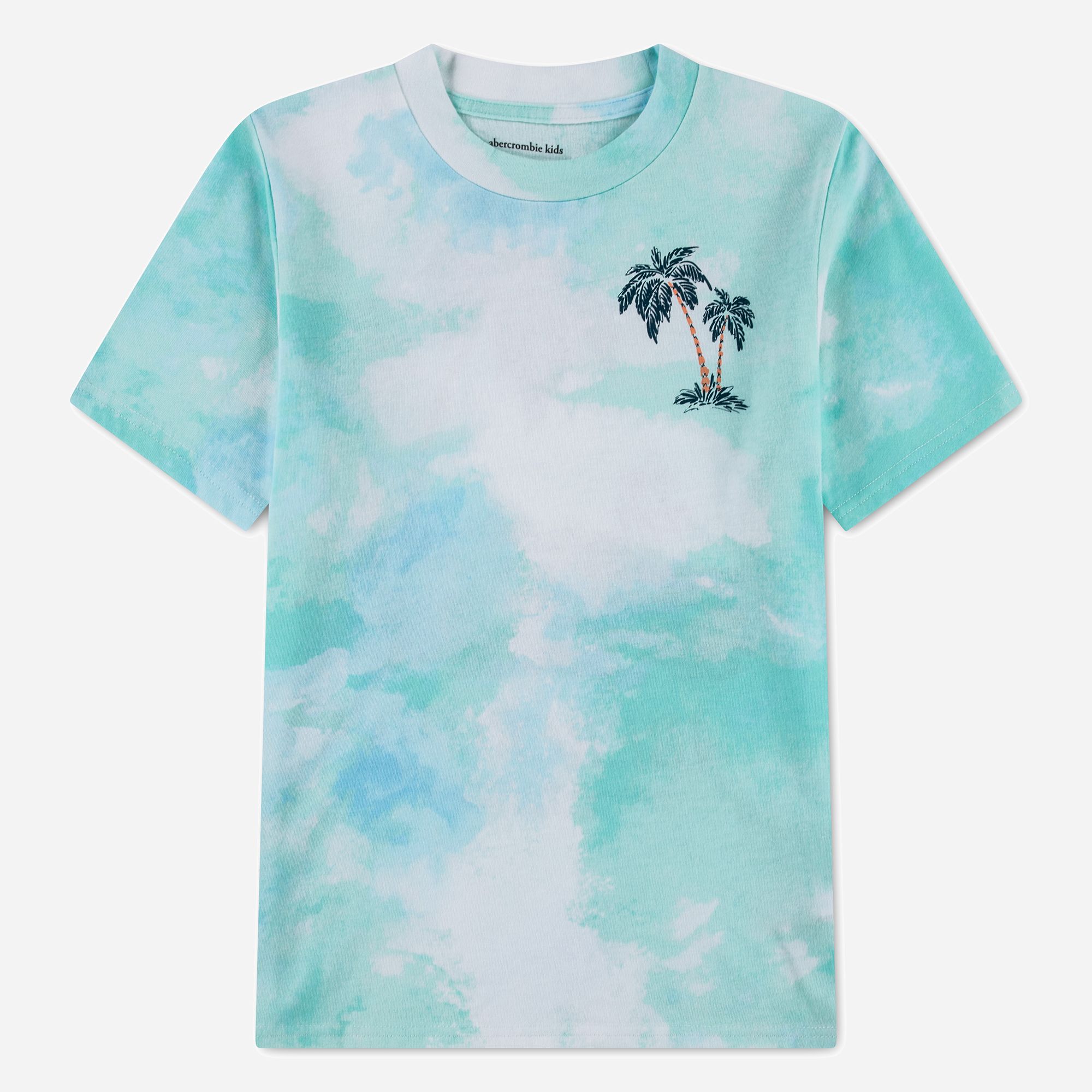 abercrombie kids palm springs tee product image