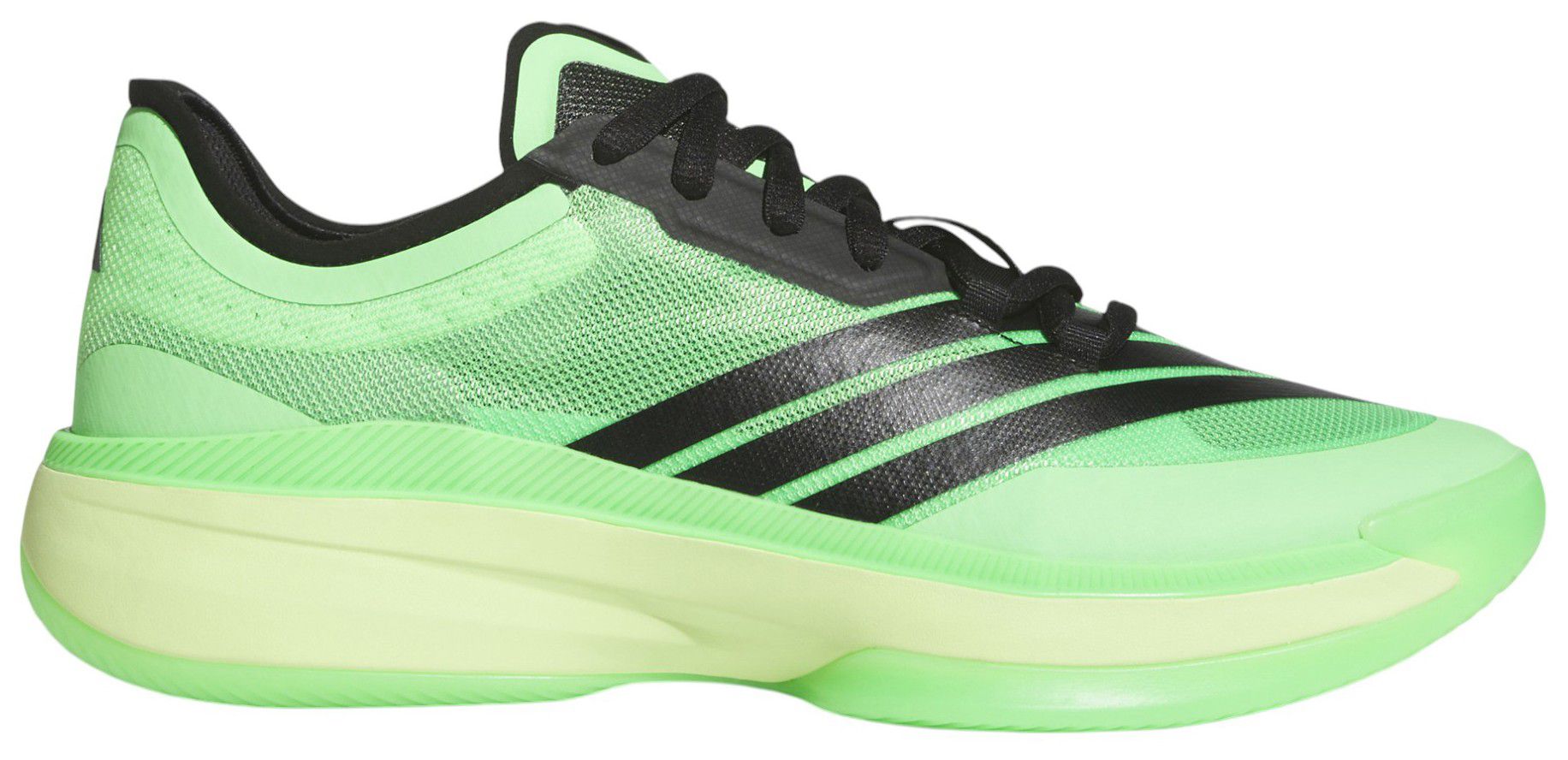 adidas Adizero Select 3.0 Basketball Shoes product image