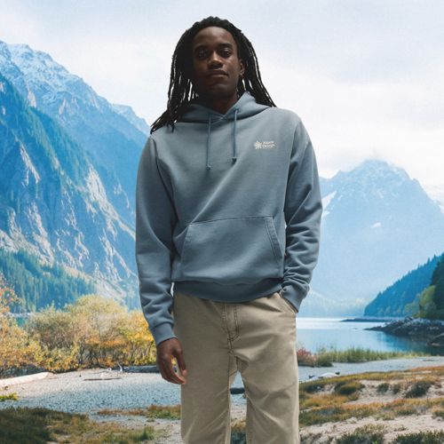 The North Face Men's Evolution Box NSE Regular Hoodie | Dick's