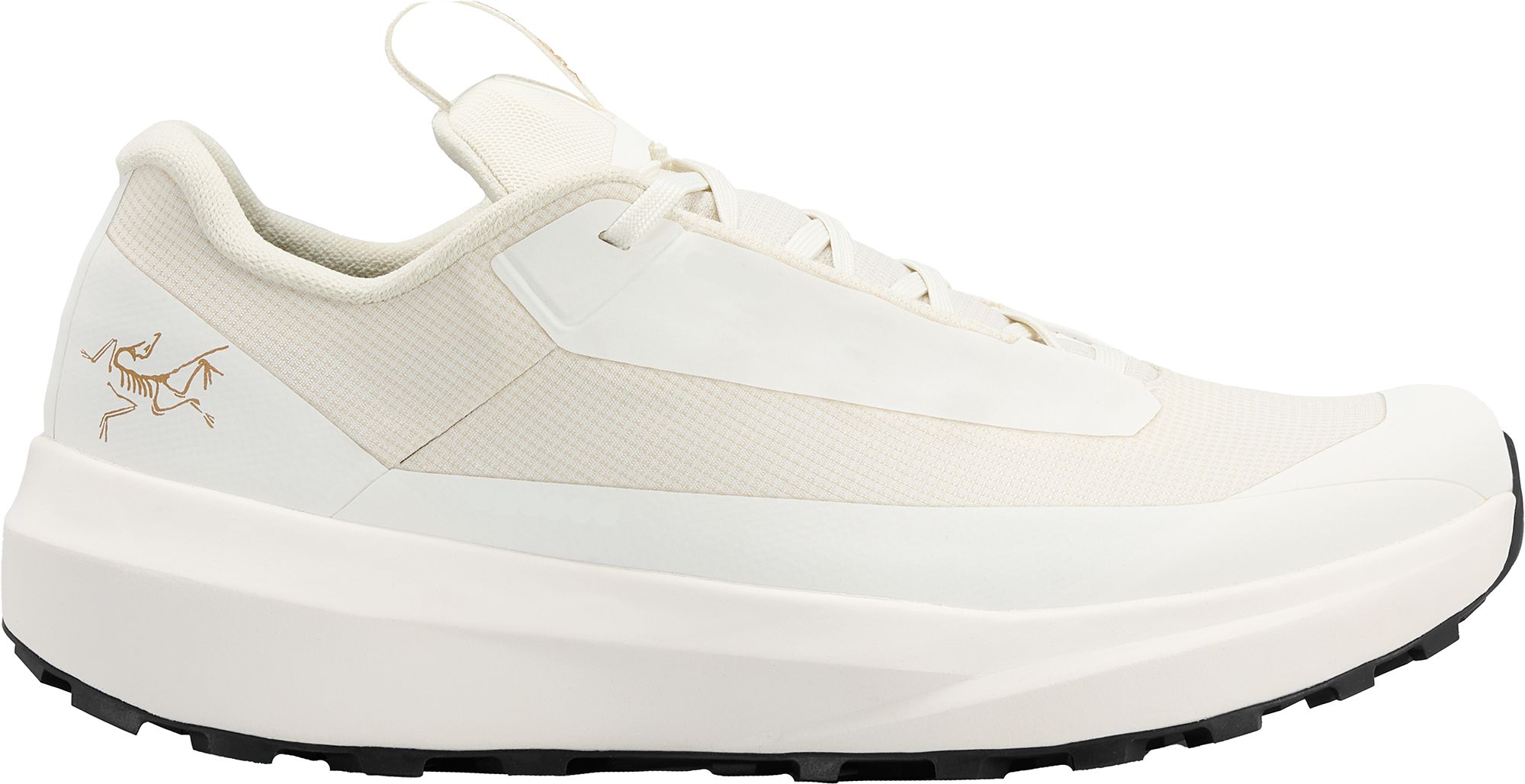 Arcteryx Women's Norvan LD4 GORE-TEX Low Shoe product image
