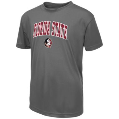 sorry, Colosseum Youth Florida State Seminoles Grey Short-Sleeve T-Shirt is currently out of stock