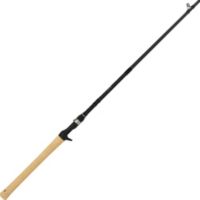 Dobyns Rods Frenzy Casting Rod, Cork