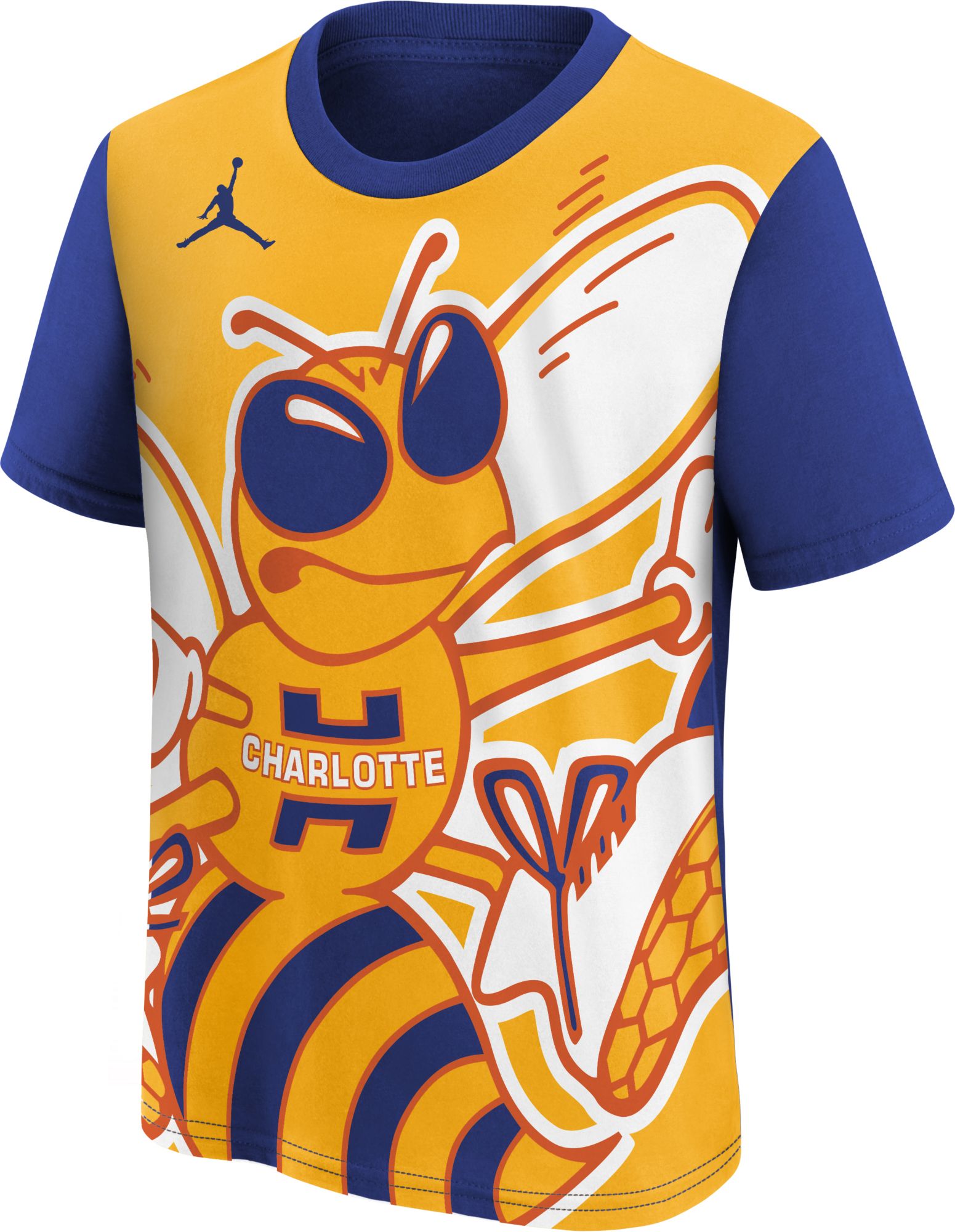 Jordan Youth 2025-26 City Edition Charlotte Hornets Big Logo M90 T-Shirt product image